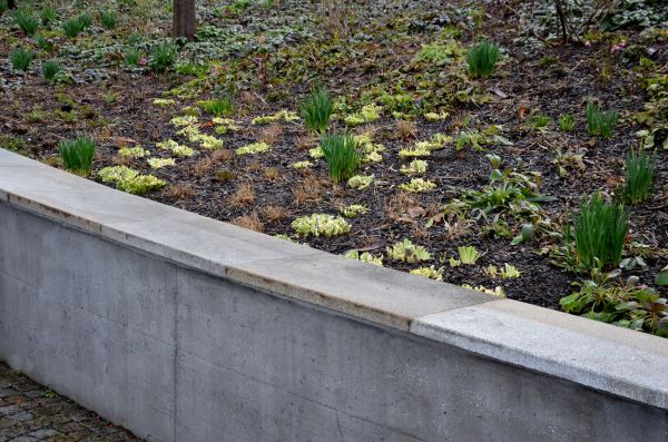 Concrete Wall Construction in Avon